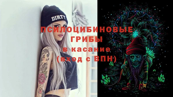 трава Зерноград