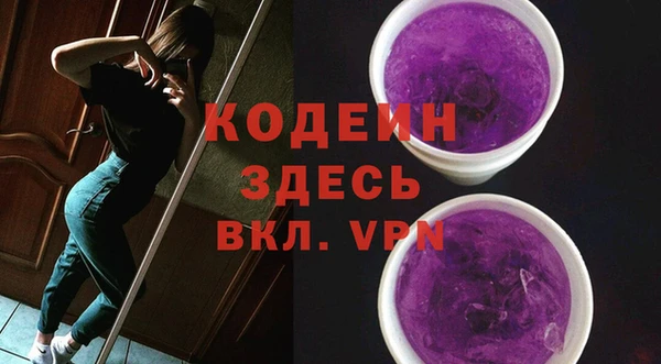 ГАЛЛЮЦИНОГЕННЫЕ ГРИБЫ Фёдоровский