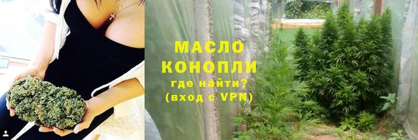 молекула духа Зеленодольск