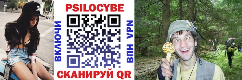 Псилоцибиновые грибы Psilocybe  Инсар 